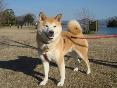 日差しが強いです！