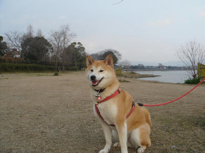 今日も笑顔です！