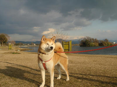 変な空です！
