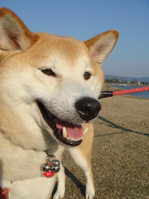 いたずらっ子？