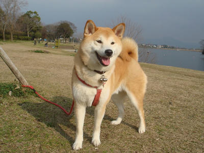 お昼から曇り！