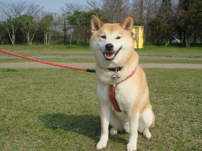 お墓参りに行って来ました！