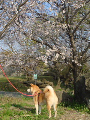 後姿のこうたろうです！