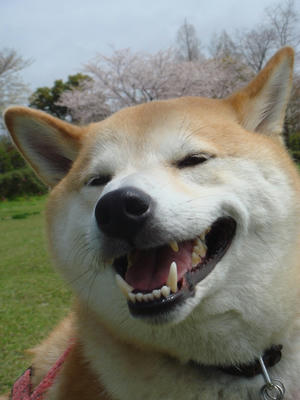 酔っ払い？