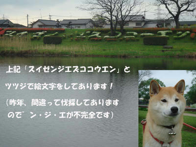 絵文字？が見えます！