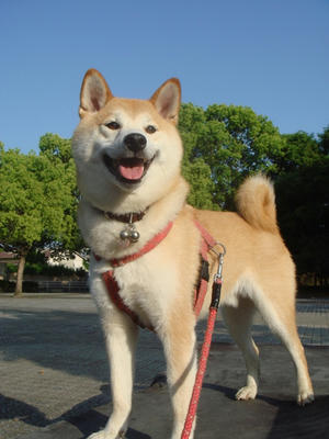 お得意のポーズです！