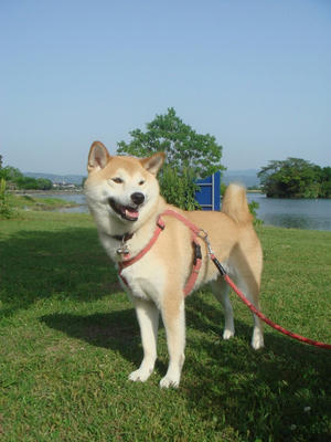 青「空・湖」です！