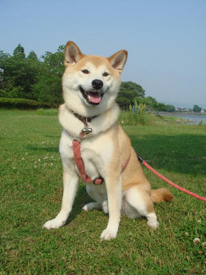 暑いですね！