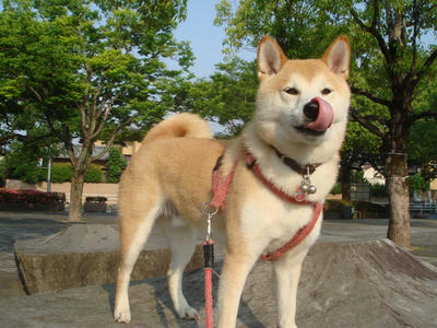 昨日の写真です！