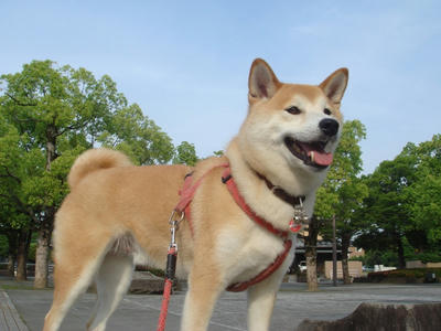 気持ちイィー！