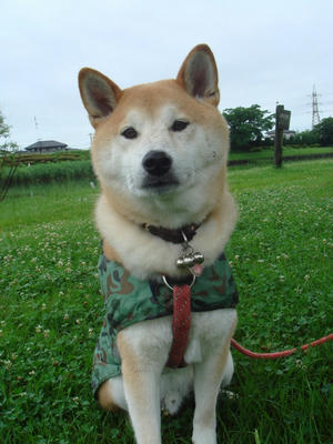 お鼻が汚れています！