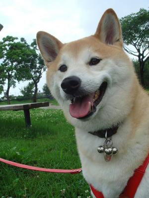 明るい笑顔！
