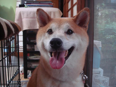 濡れました！