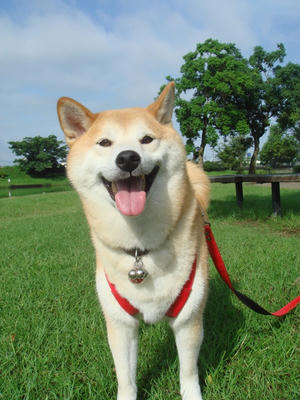 いつものこうたろうです！