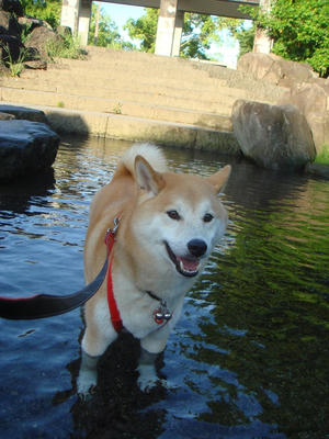 冷たくてキモティー！