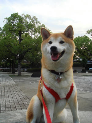 ニュー？モニュメント？