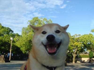 涼しい朝です！