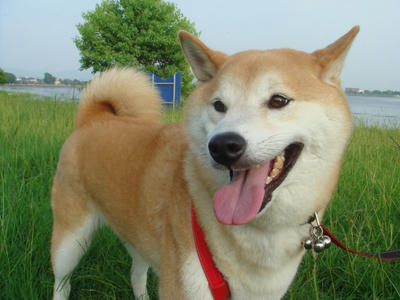 暑い日が続きます！