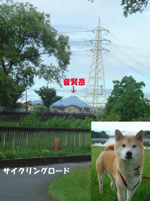 早朝！雨が降りました！