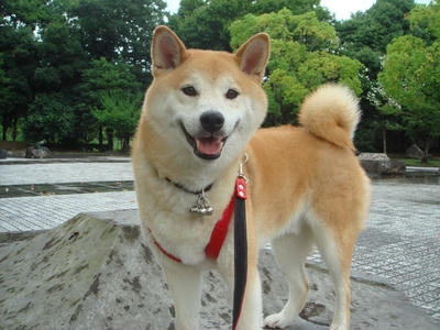 今日も笑顔です！