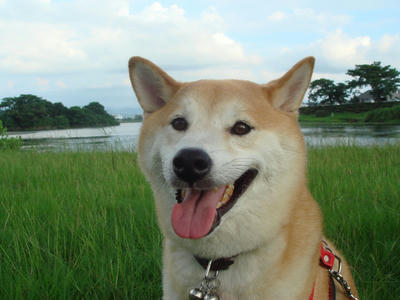 今日もイイ天気！