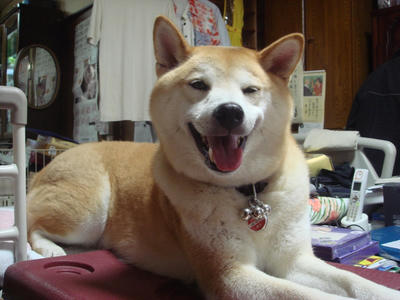ストライキ！こうたろう！