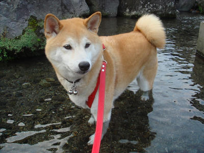 満足？こうたろうです！