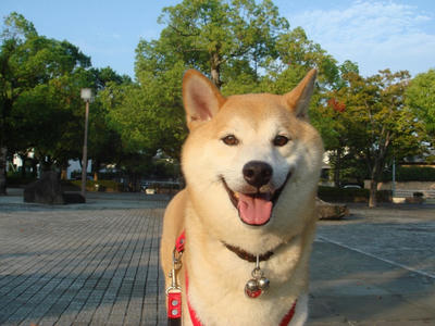 いつも笑顔のこうたろうです！