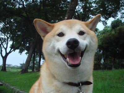 笑顔がグゥー！