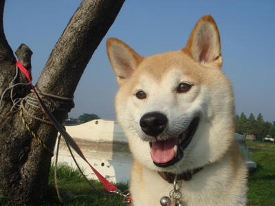 青空！！