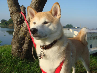 今日も元気！