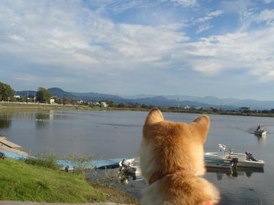 いい天気でした！