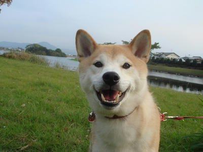 今日も笑顔のこうたろう！