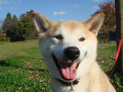 こぼれんばかりの笑顔！