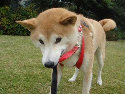 帰りたくない！！