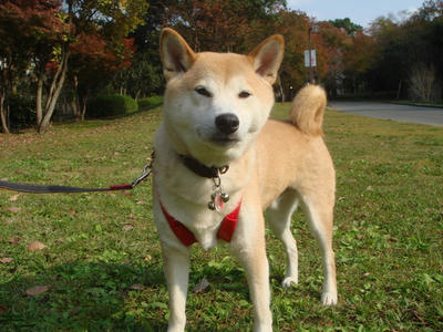 元気？じゃない？