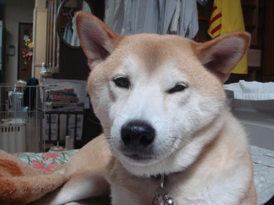 心配しています！