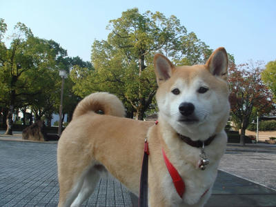良い天気です！