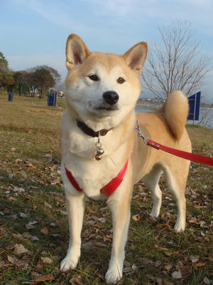 午後から晴れました！
