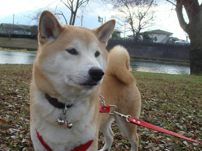超寒かったです！