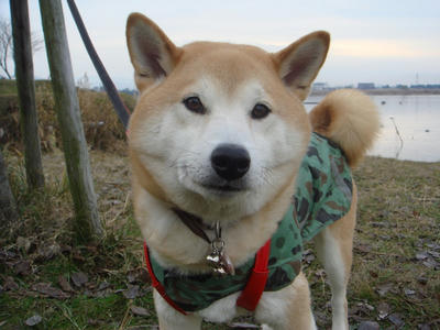 お久しぶりの三度傘？