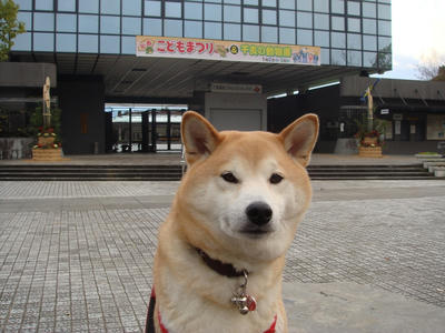 あけましておめでとうございます！
