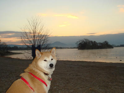 気持のよい朝です！