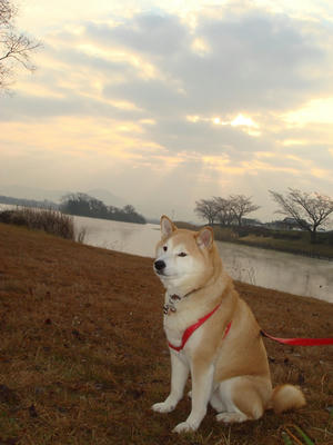 珍しい？風景！