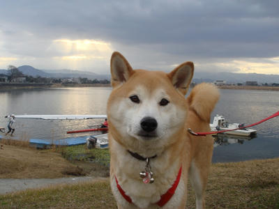 忙しい？朝！