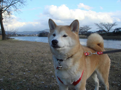 風が強い！