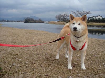 寒くなりそう！