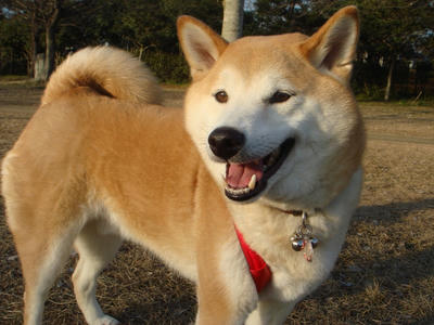 笑顔のこうたろう！