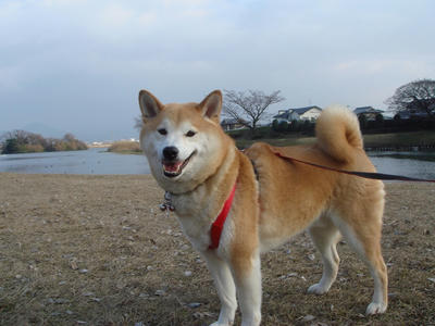 1月は今日で終わり！