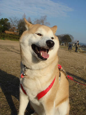 何が？超嬉しいのか？